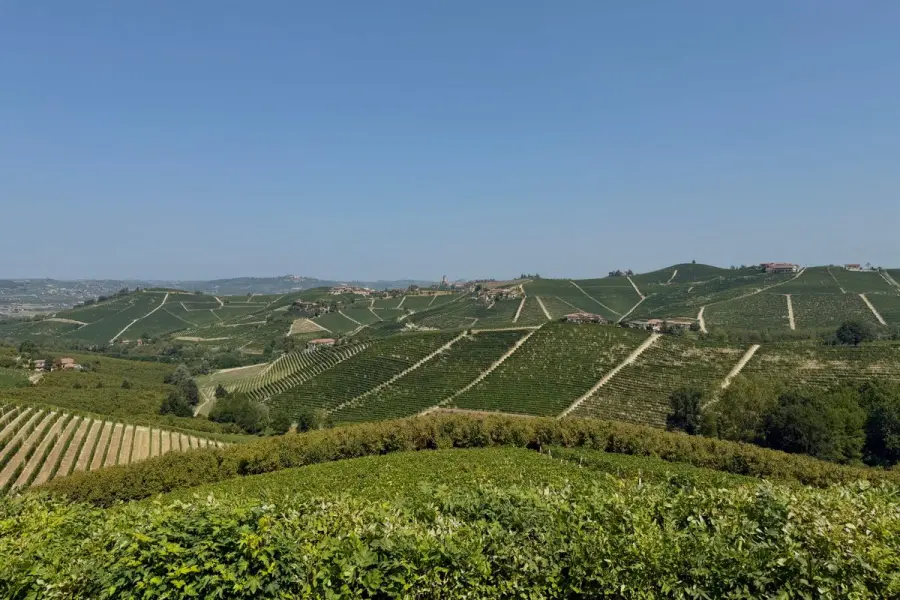 Langhe