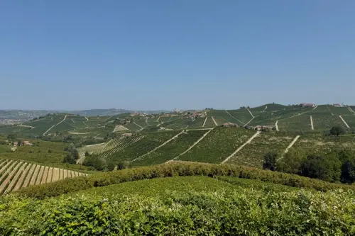 Langhe