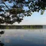 Regione Lombardia, il 9 ottobre tra economia, welfare e mobilità