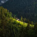 La Carpaneta al centro della strategia forestale lombarda: stanziati 389mila euro