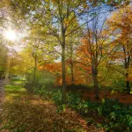 Villa Reale di Monza, la biodiversità diventa protagonista
