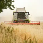 Fattorie Didattiche 2025: educazione, natura e tradizione agricola