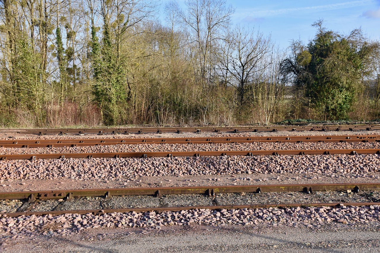 Linea ferroviaria S7 e cantieri Pedemontana: confronto in Regione Lombardia sulle soluzioni per i territori