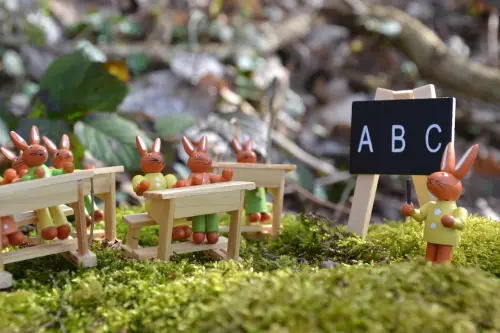 Via Sacchini diventa “Scuola Oasi”: una riqualificazione urbana che unisce ambiente, scuola e comunità