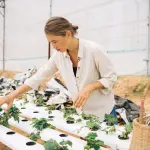 Farm Up, università e ricerca per una nuova agricoltura urbana sostenibile