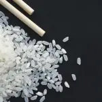 Giornata della Ristorazione a Milano, bambini alla scoperta del riso