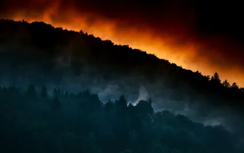 Parco delle Groane, 200 volontari in esercitazione antincendio