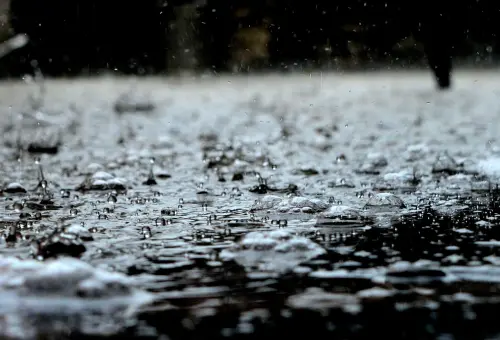 Milano, pioggia e raffiche di vento dopo il caldo: oltre 30 interventi dei Vigili del Fuoco