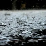 Milano, pioggia e raffiche di vento dopo il caldo: oltre 30 interventi dei Vigili del Fuoco