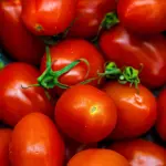 Mercati negli ospedali per promuovere la dieta mediterranea: l'iniziativa di Coldiretti