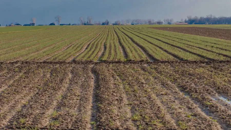 Pianura Padana