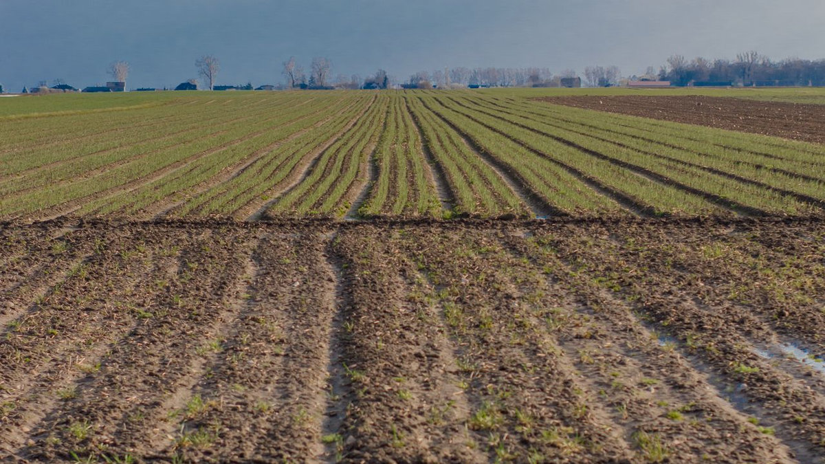 Pianura Padana
