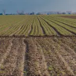 Pianura Padana nella morsa dell'afa: cosa sta accadendo con l'ozono