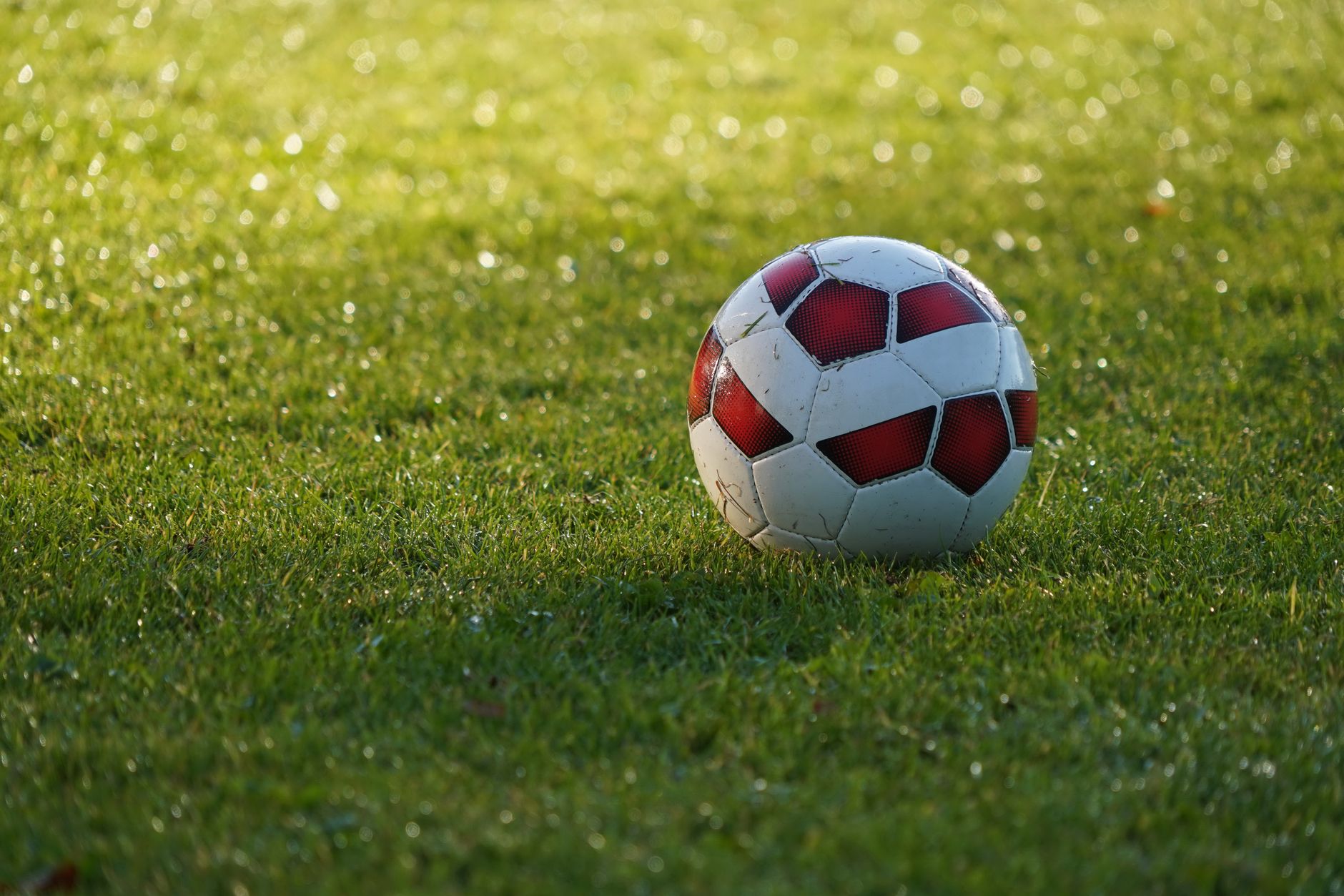 Close-up of a soccer ball resting on a dewy grass field during sunrise, capturing the essence of a fresh morning sportscraft.
