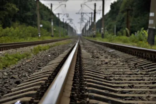 Low angle view of railway tracks stretching into the distance, surrounded by greenery.