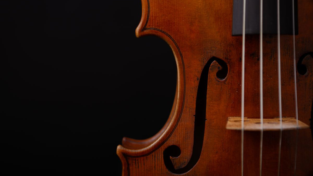 violino