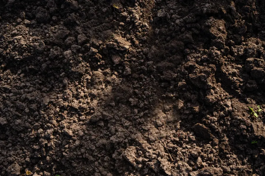 Detailed view of freshly tilled soil, perfect for planting in agriculture and gardening.