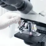 Milano, Statale e Human Technopole rinnovano l'accordo: sei anni per ricerca e formazione