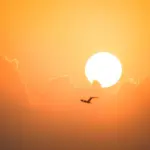 Il caldo torna protagonista a Milano: settembre parte con temperature fino a 36 gradi
