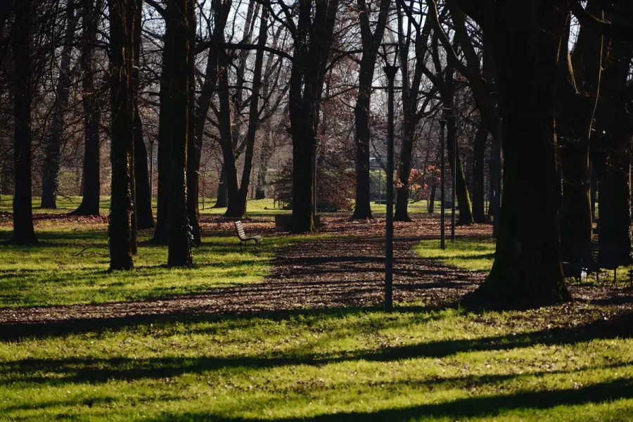 Milano, cinque visite guidate nei parchi per scoprire oltre 170 specie botaniche
