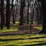 Milano, cinque visite guidate nei parchi per scoprire oltre 170 specie botaniche